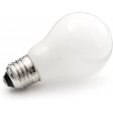 Lemputė LED E27 4,6W 230-240V